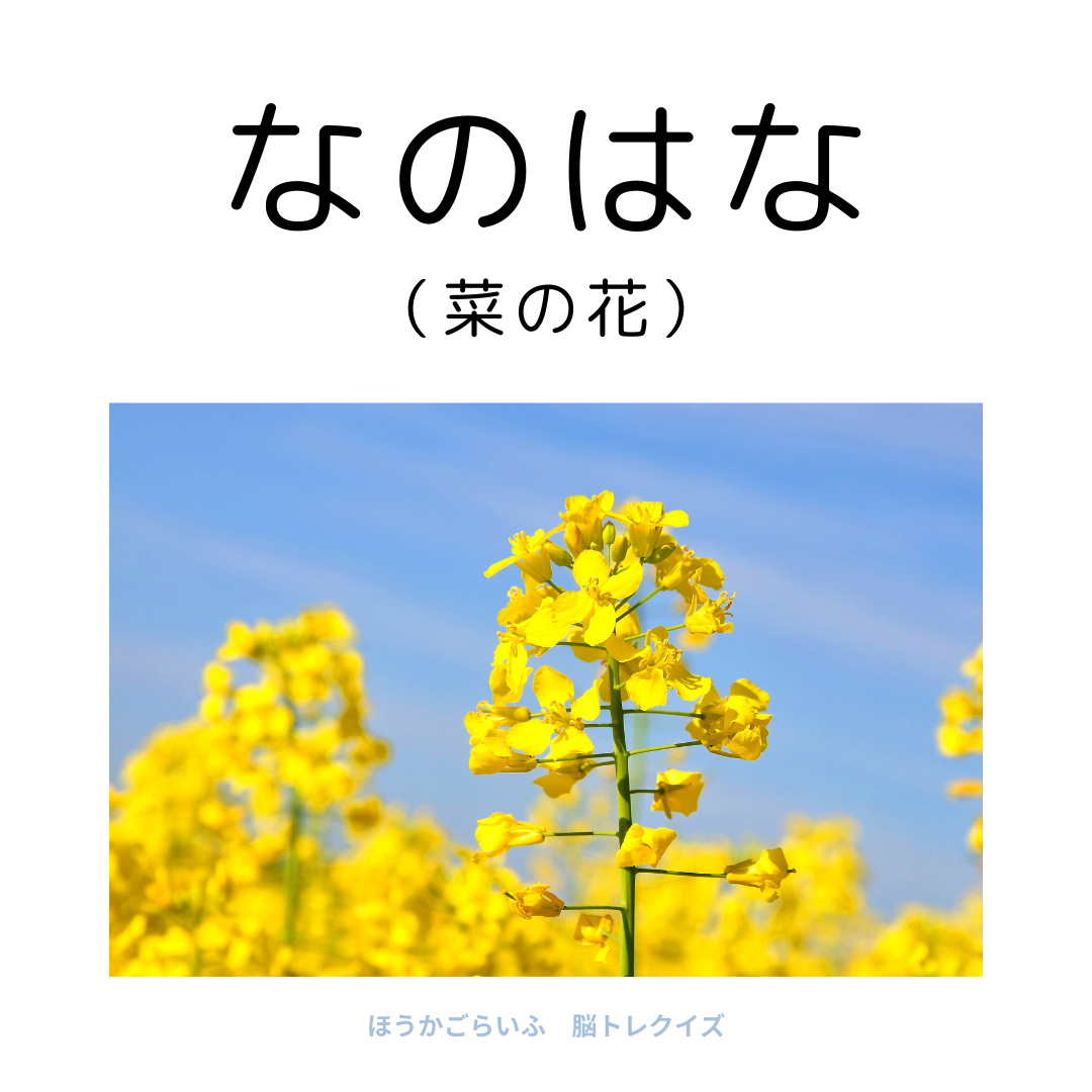 高齢者向け（無料）言葉の並び替えで脳トレしよう！文字（ひらがな）を並び替える簡単なゲーム【花の名前】健康寿命を延ばす鍵